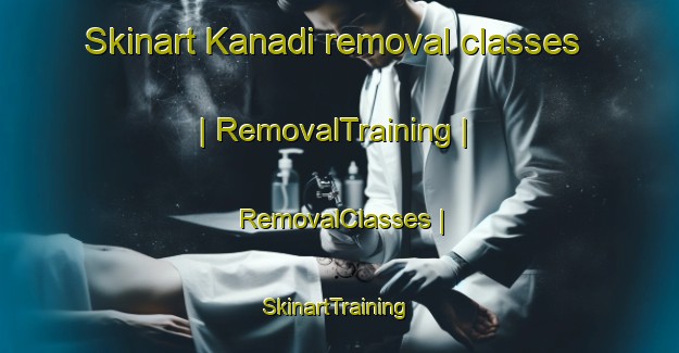 Skinart Kanadi removal classes | RemovalTraining | RemovalClasses | SkinartTraining-Côte d Ivoire